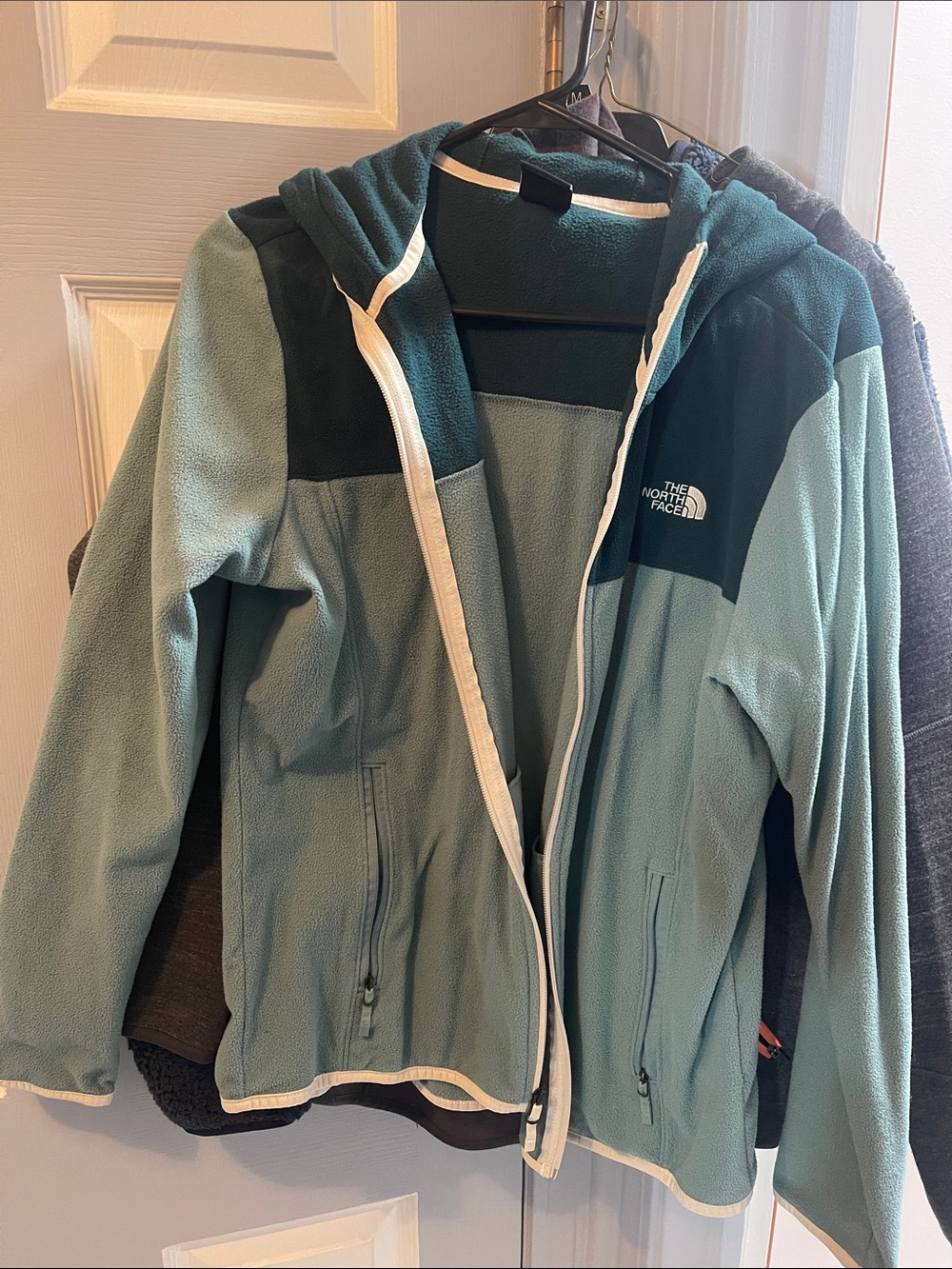 The North Face Teal & Dark Teal Hooded Fleece Jacket